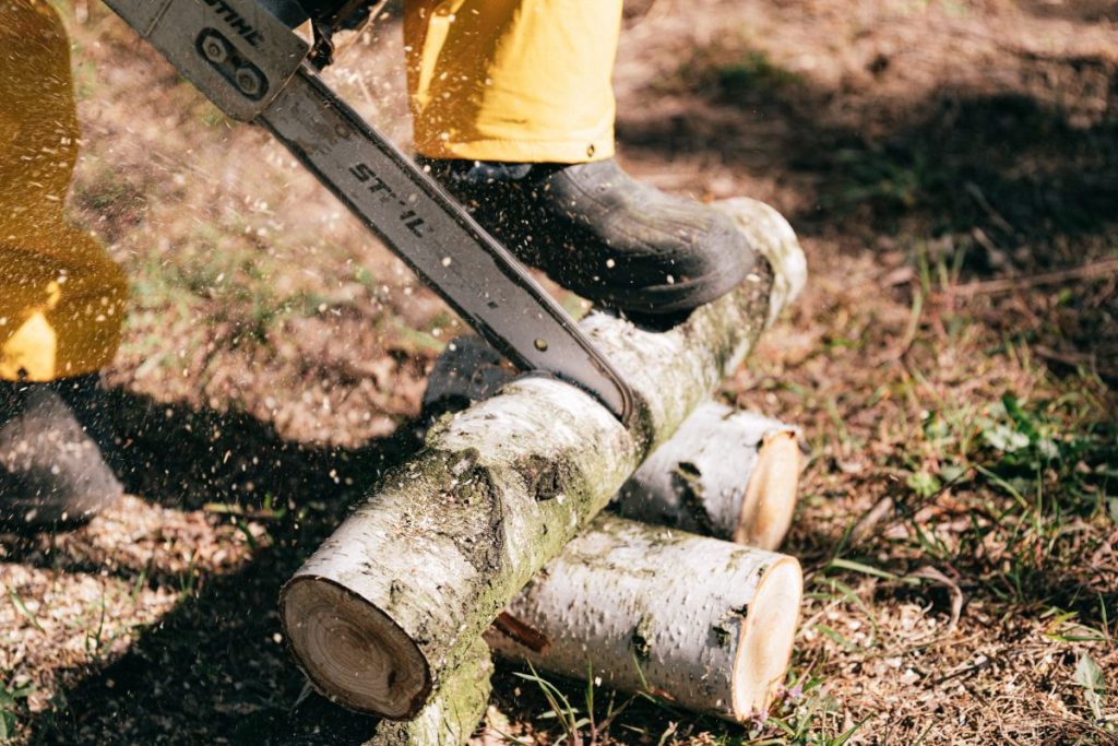 Are Lumberjack Competitions A Real Thing