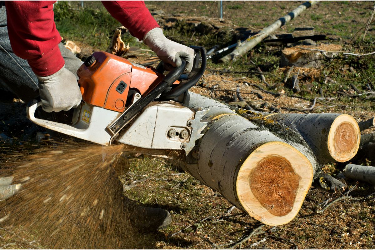 Are Lumberjack Competitions A Real Thing