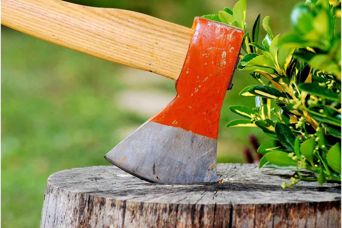 Do They Have Wood Chopping In The Olympics