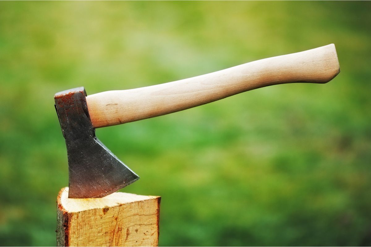 How To Get Involved In Timbersports