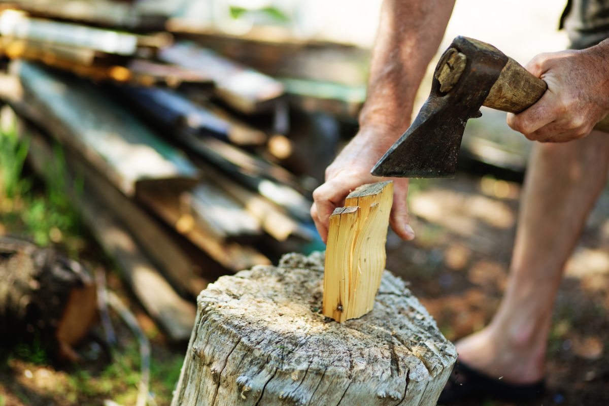 How To Get Involved In Timbersports