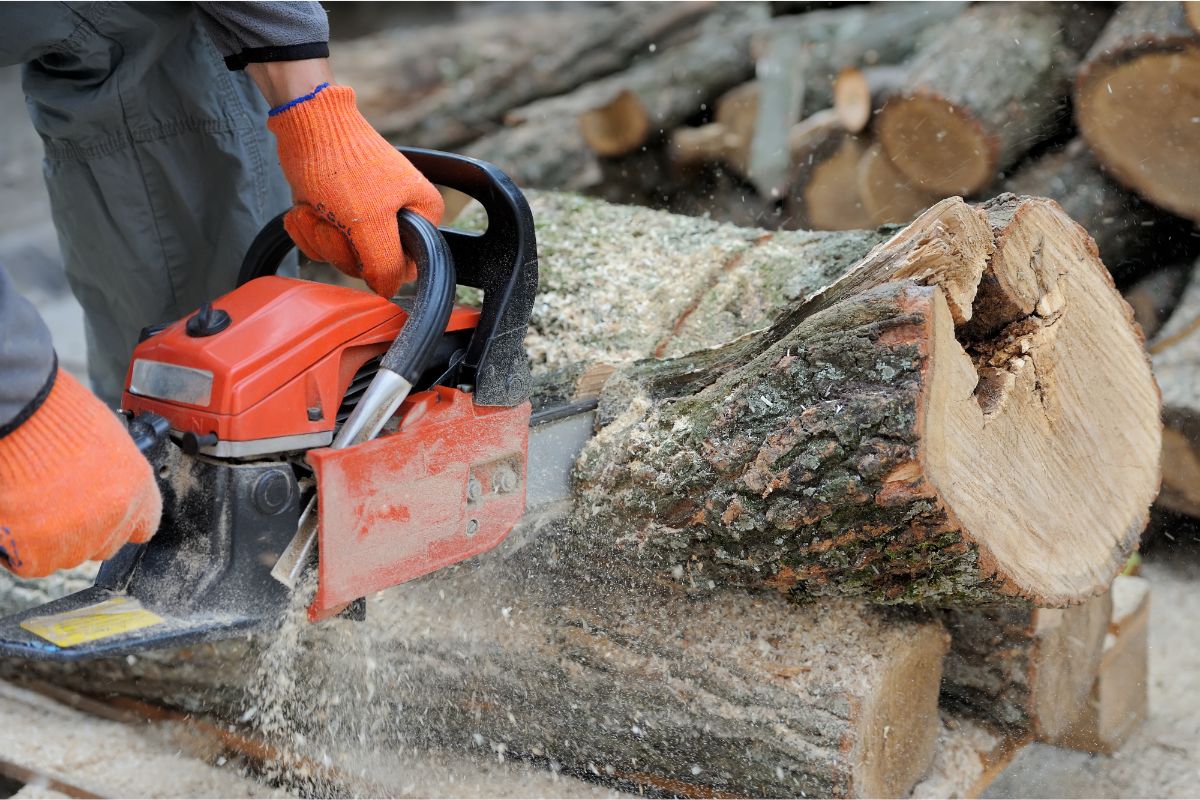 How To Start A Chainsaw