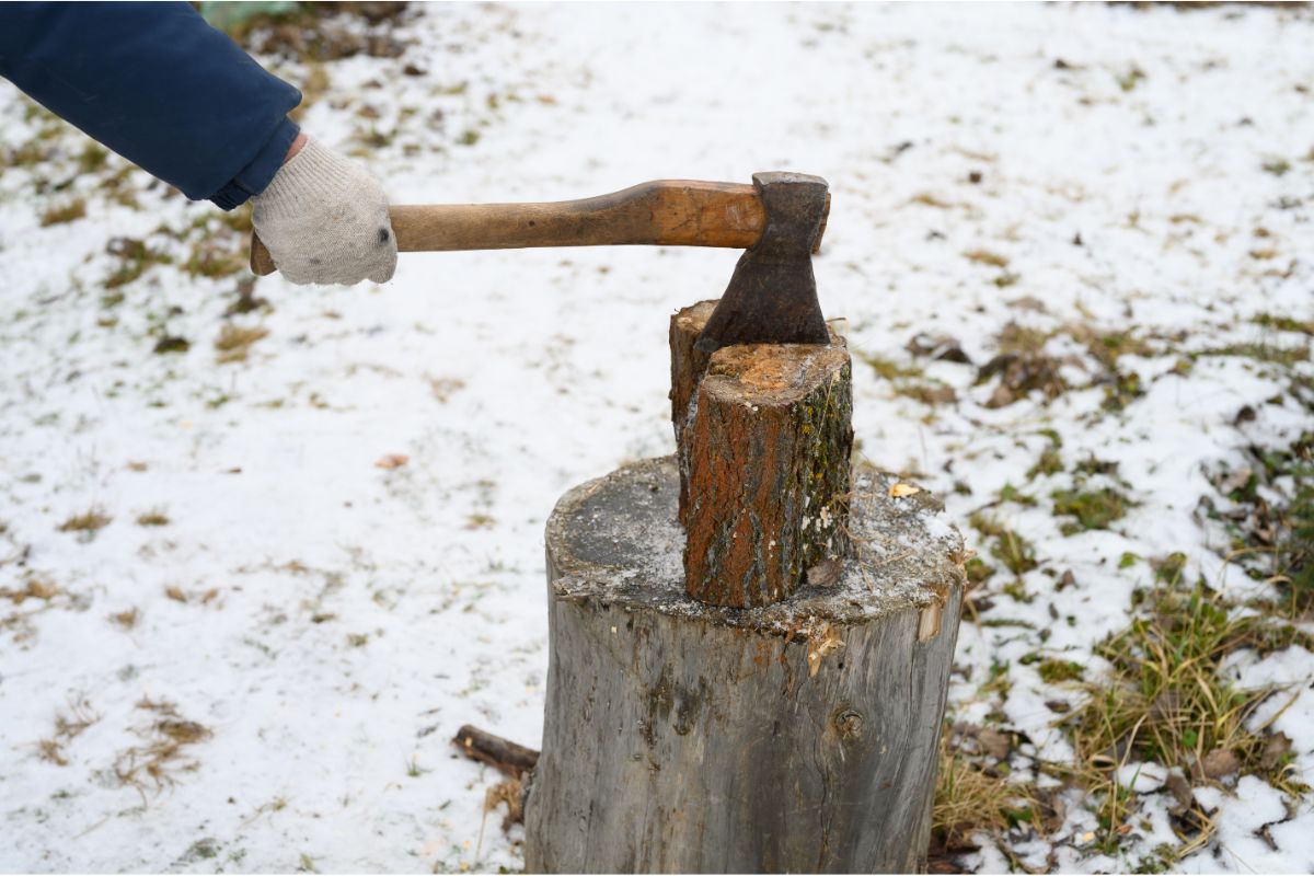 What Kinds Of Woods Are Used In Timbersports