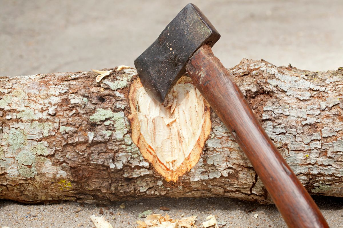 Why Do Axemen Start At Different Times